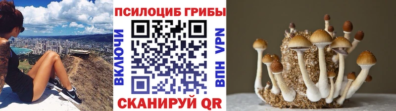 цены наркотик  Яблоновский  Галлюциногенные грибы мицелий 